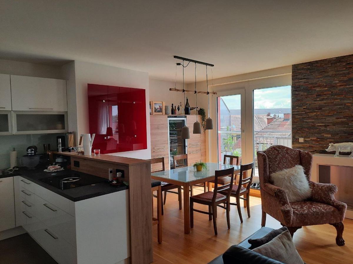 Penthouse Wohnung Am Radweg Mit Dachterasse Вайдхофен-ан-дер-Тайя Экстерьер фото